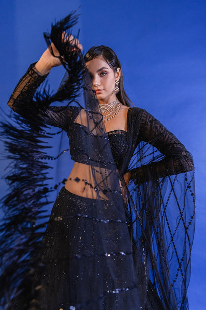 Exclusive Bollywood Black Sequins Lehenga